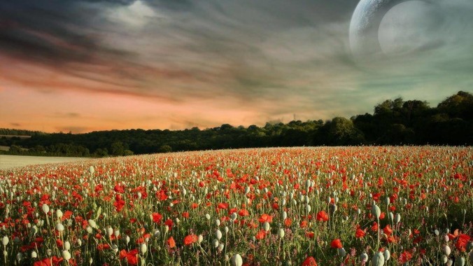 只能选一个，你选谁？